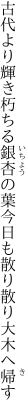 古代より輝き朽ちる銀杏の葉 今日も散り散り大木へ帰す