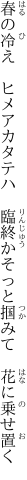 春の冷え　ヒメアカタテハ　臨終か そっと掴みて　花に乗せ置く