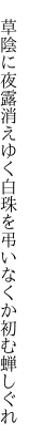  草陰に夜露消えゆく白珠を 弔いなくか初む蝉しぐれ
