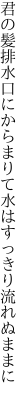 君の髪排水口にからまりて 水はすっきり流れぬままに