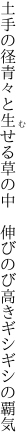 土手の径青々と生せる草の中　 伸びのび高きギシギシの覇気