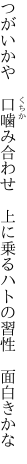 つがいかや　口噛み合わせ　上に乗る ハトの習性　面白きかな