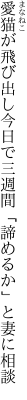 愛猫が飛び出し今日で三週間 「諦めるか」と妻に相談