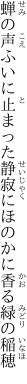 蝉の声ふいに止まった静寂に ほのかに香る緑の稲穂
