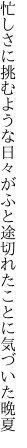 忙しさに挑むような日々がふと 途切れたことに気づいた晩夏