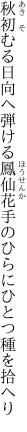 秋初むる日向へ弾ける鳳仙花 手のひらにひとつ種を拾へり