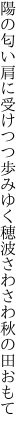 陽の匂い肩に受けつつ歩みゆく 穂波さわさわ秋の田おもて