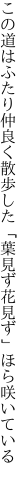 この道はふたり仲良く散歩した 「葉見ず花見ず」ほら咲いている
