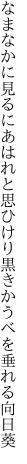 なまなかに見るにあはれと思ひけり 黒きかうべを垂れる向日葵