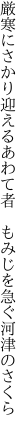 厳寒にさかり迎えるあわて者　 もみじを急ぐ河津のさくら