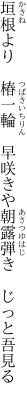 垣根より　椿一輪　早咲きや 朝露弾き　じっと吾見る