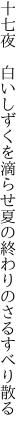 十七夜　白いしずくを滴らせ 夏の終わりのさるすべり散る
