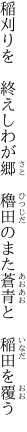 稲刈りを　終えしわが郷　穭田の また蒼青と　稲田を覆う