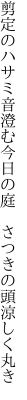 剪定のハサミ音澄む今日の庭 　さつきの頭涼しく丸き
